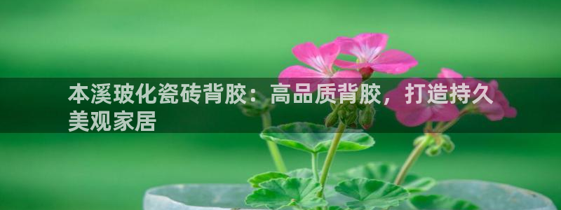 杏鑫注册平台官方网站是什么