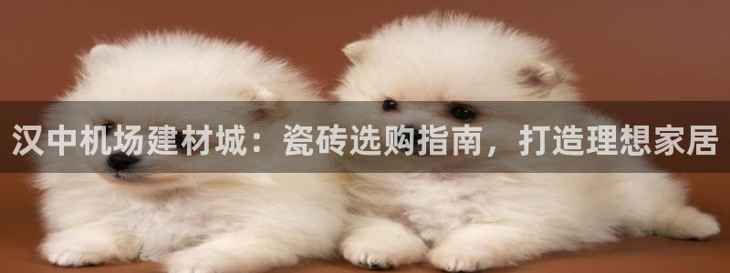 杏鑫官方平台怎么样啊