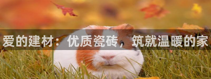 杏鑫注册平台官方网站下载