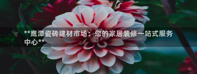 杏鑫娱乐是真的吗