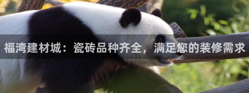 杏鑫官网最新信息新闻
