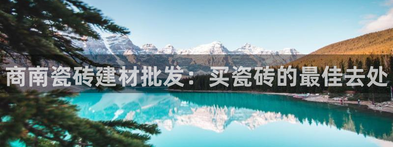 杏鑫平台代理注册多少钱啊