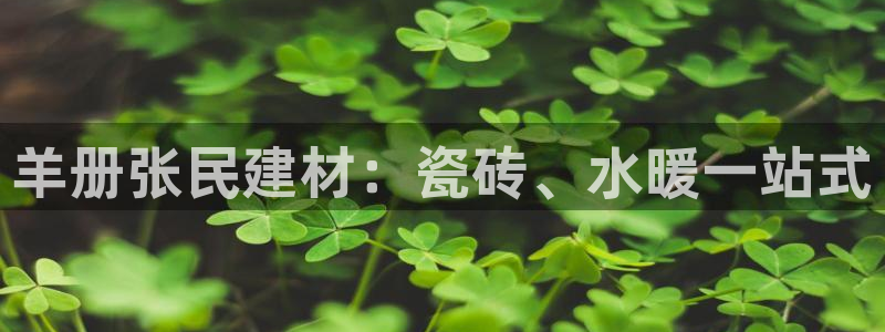 杏鑫平台正规吗是真的吗