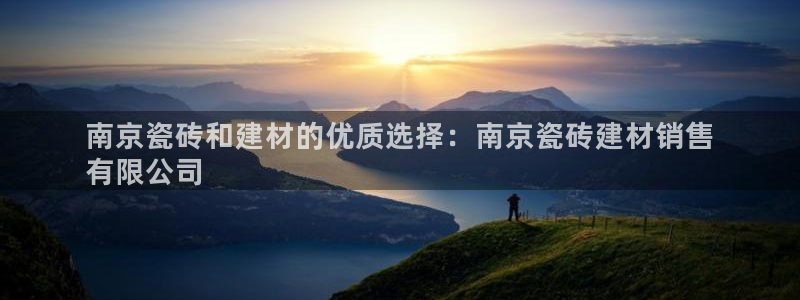 杏鑫招商总代