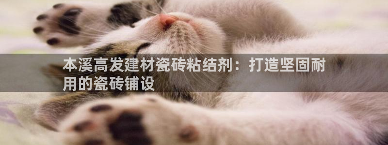 杏鑫代理注册