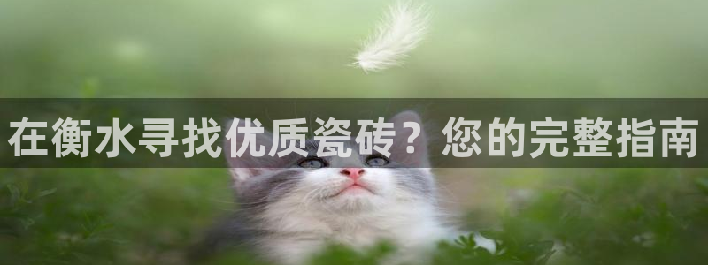 杏鑫平台平台娱乐