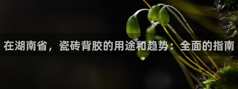 杏鑫平台线路测速
