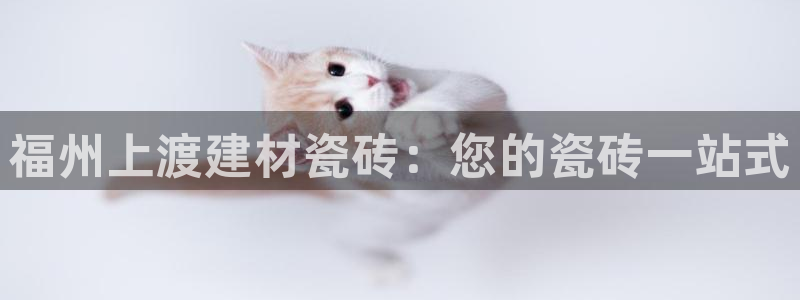 杏鑫平台注册网址是什么