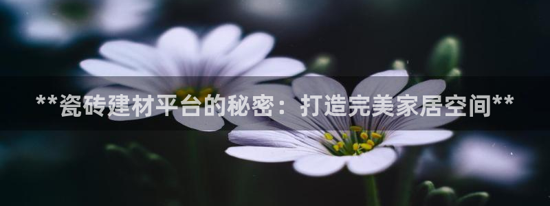 杏鑫平台注册网址