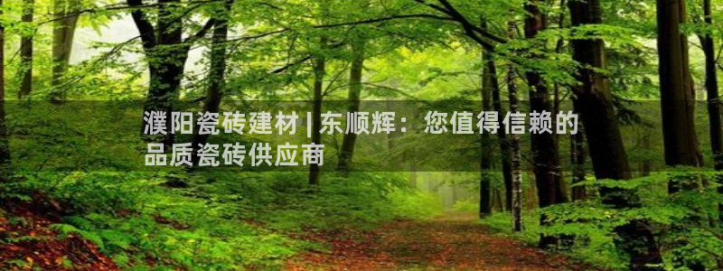 杏鑫平台注册登录
