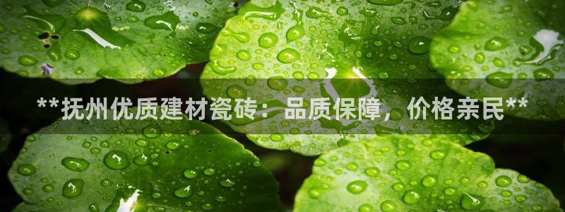 杏鑫娱乐是合法的吗?