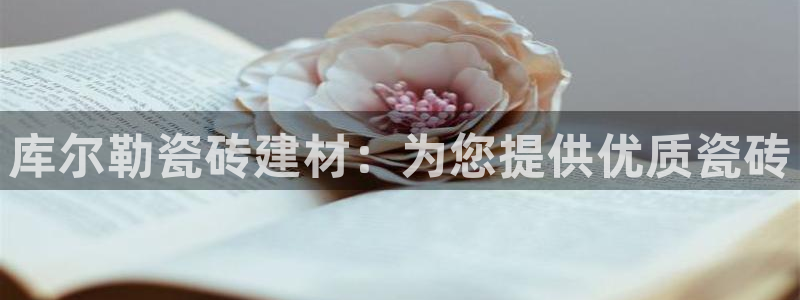 杏鑫平台正规吗