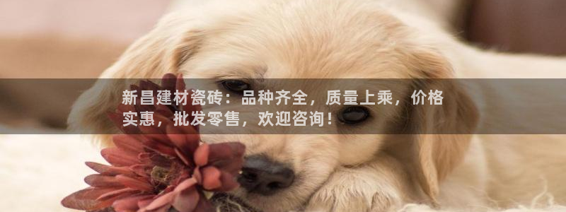 杏鑫平台是黑平台吗知乎