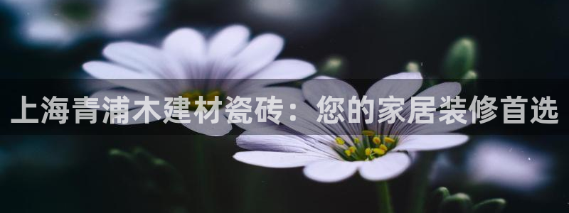杏鑫注册平台官方网站入口