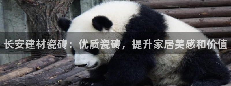 杏鑫娱乐是合法的吗?