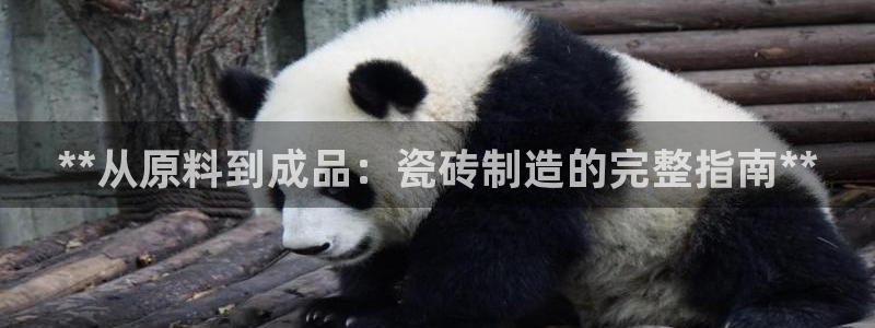 杏鑫官网注册账号是什么意思