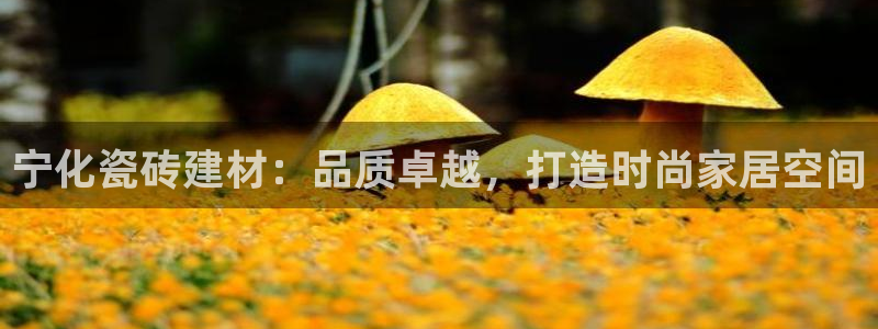 杏鑫平台线路测速