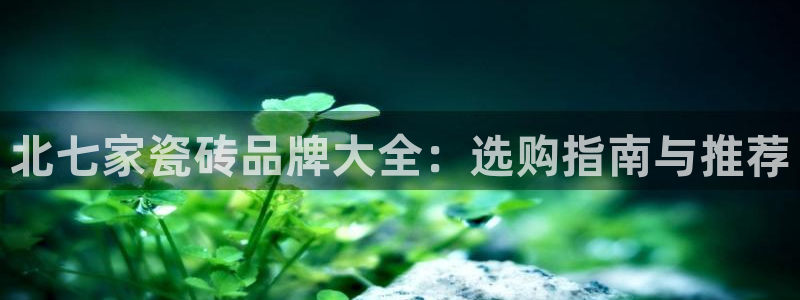 杏鑫娱乐怎么样
