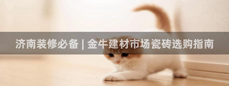 杏鑫主管