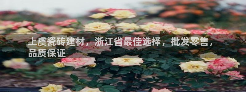 杏鑫平台注册网址是什么