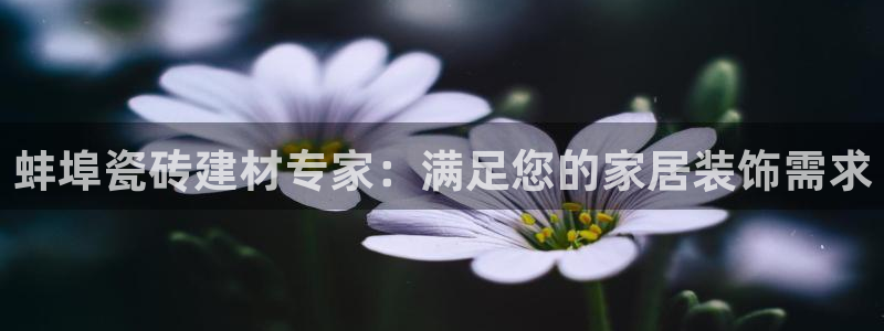 杏鑫注册登录网
