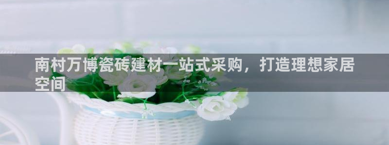杏鑫平台代理注册流程视频