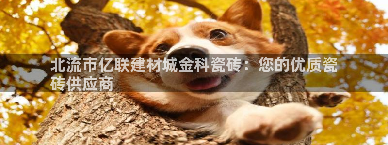 杏鑫娱乐官方网站客户端