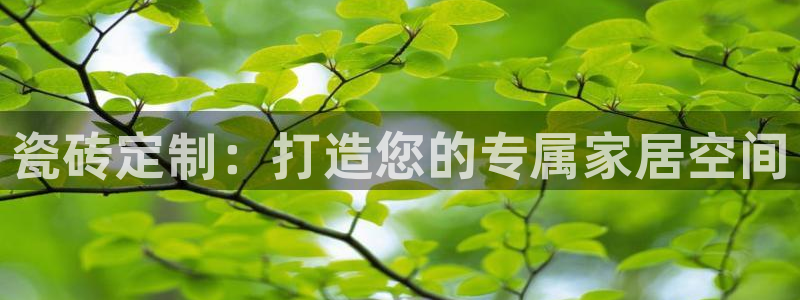 杏鑫平台待遇