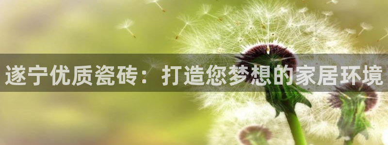 杏鑫平台正规吗
