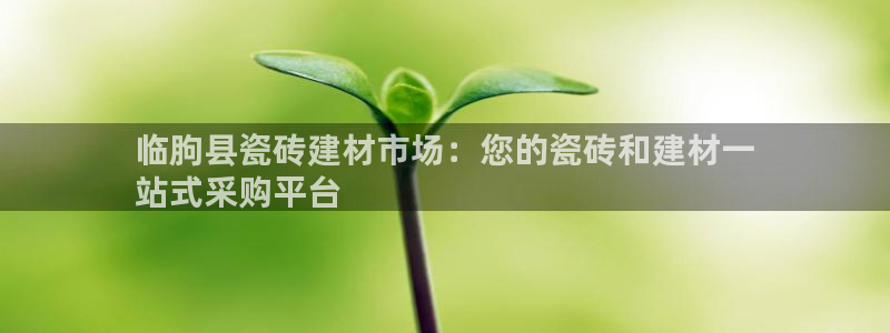 杏鑫代理注册资金多少