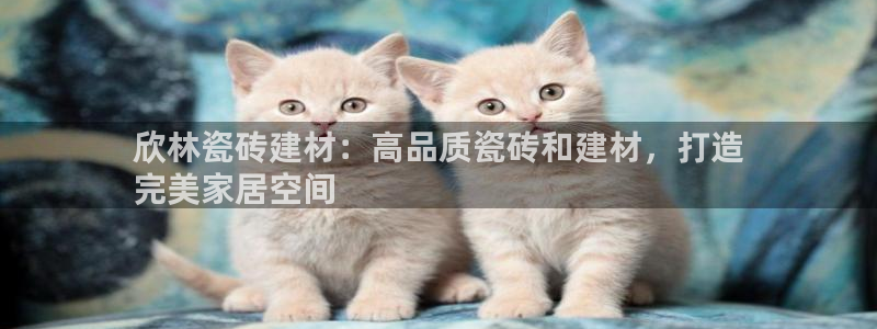 杏鑫平台代理注册流程
