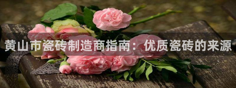 杏鑫平台注册地址