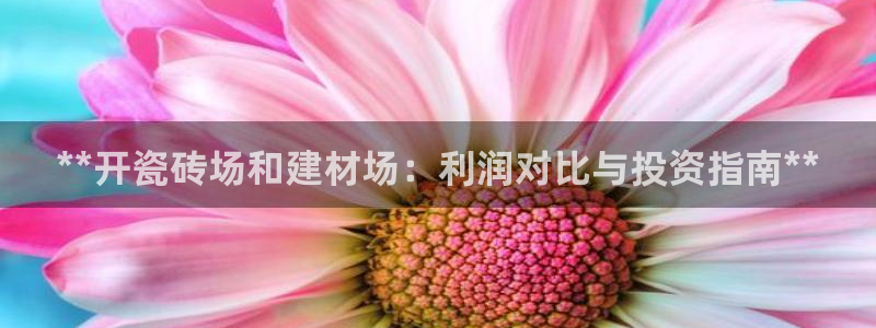 杏鑫3主管