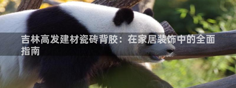 杏鑫平台代理怎么样
