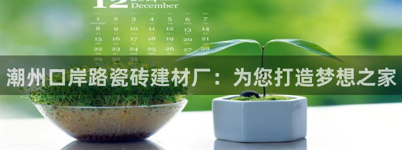 杏鑫官方平台怎么样啊