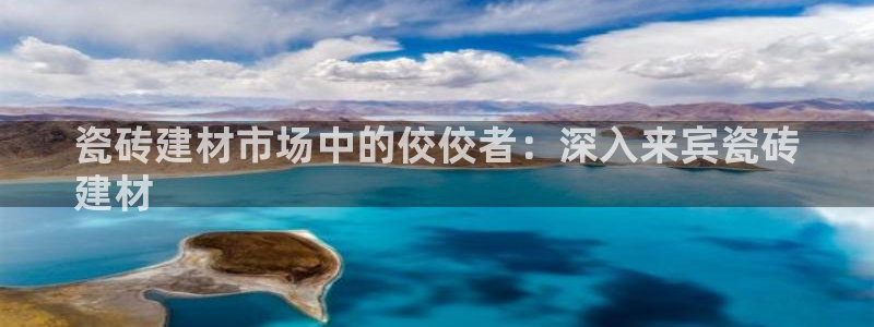杏鑫登录注册测速