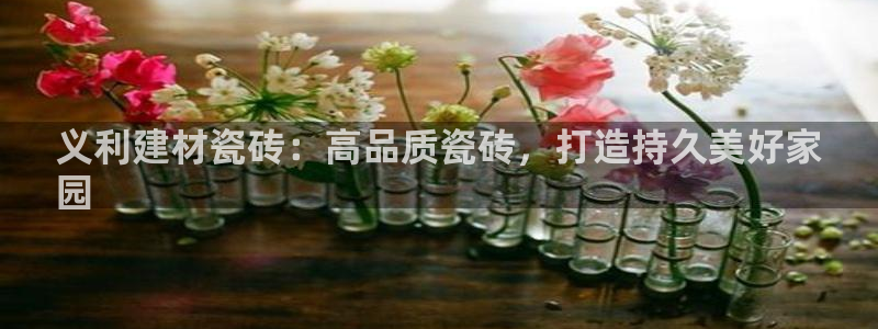 杏鑫平台代理注册