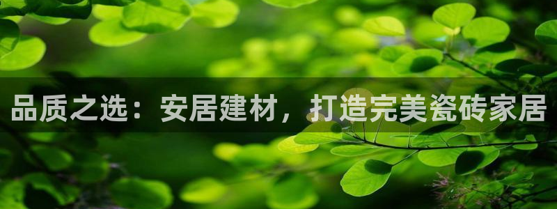 杏鑫平台下载安装