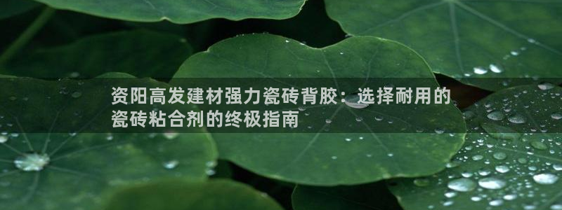 杏鑫娱乐官网下载