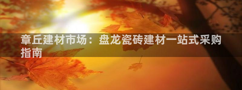 杏鑫娱乐开发团队
