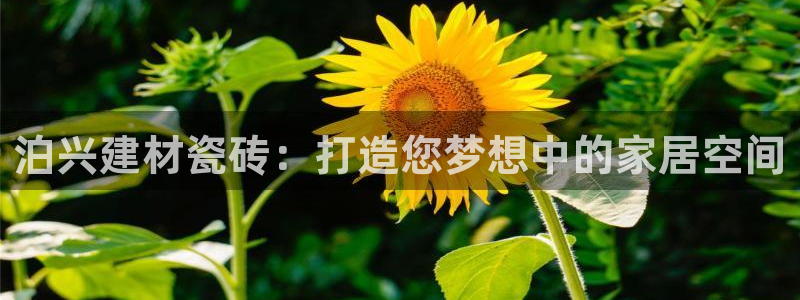 杏鑫平台测速