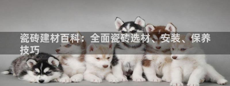 杏鑫平台注册网址是多少
