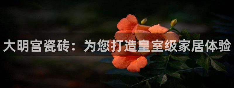 杏鑫平台代理注册多少钱一个