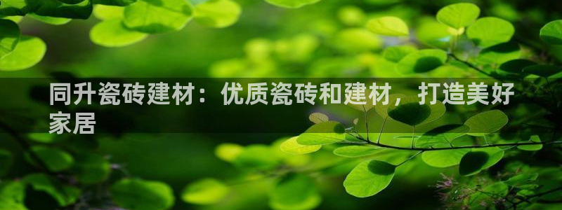 杏鑫娱乐平台测速怎么样