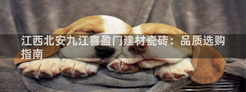 杏鑫平台注册入口
