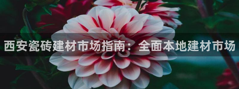 杏鑫平台登录注册