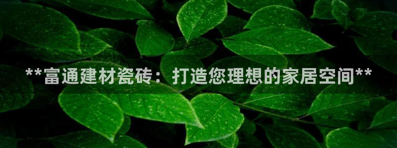 杏鑫官网最新信息