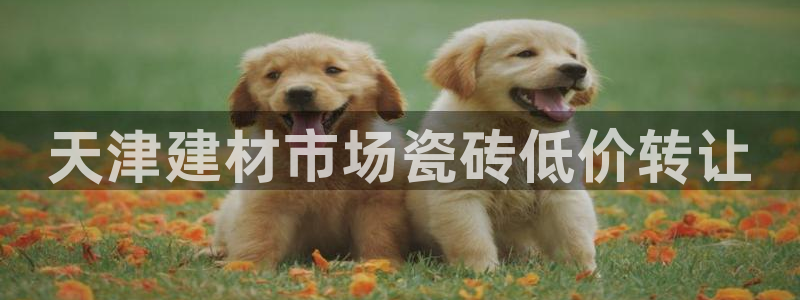 杏鑫平台招商怎么样可靠吗