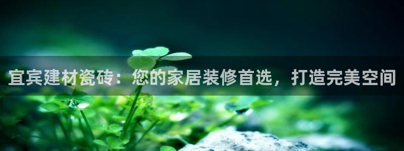 杏鑫官网最新信息
