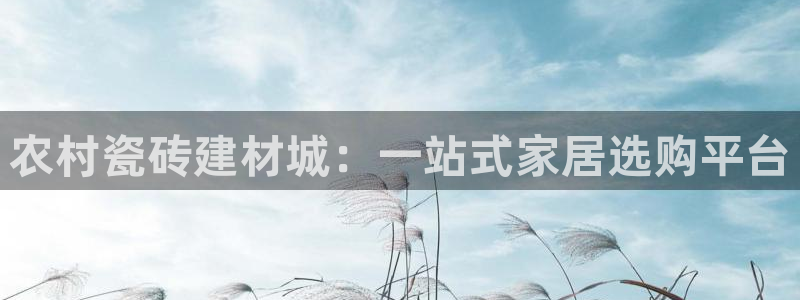杏鑫官网最新信息新闻